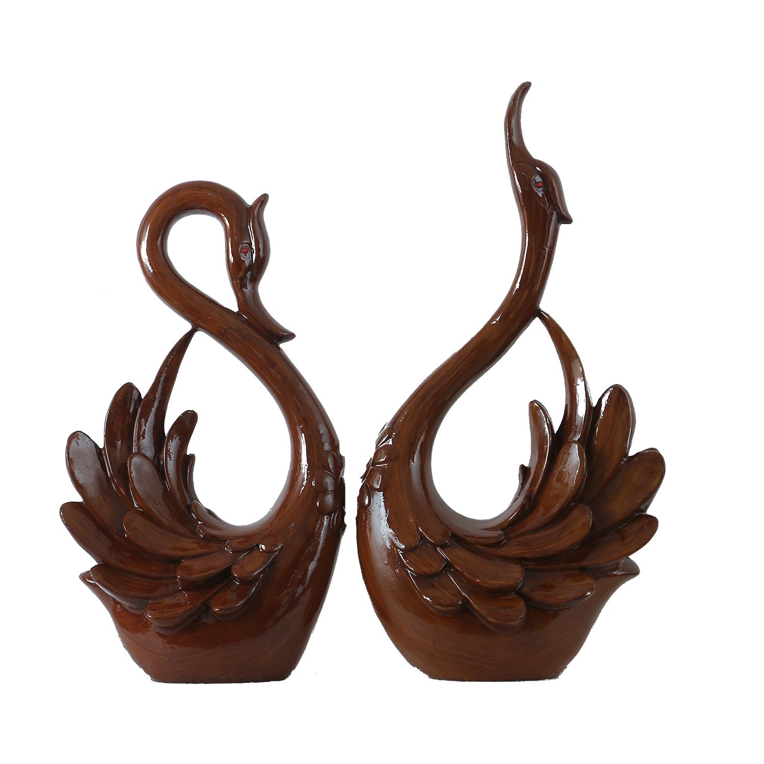 Swan birds